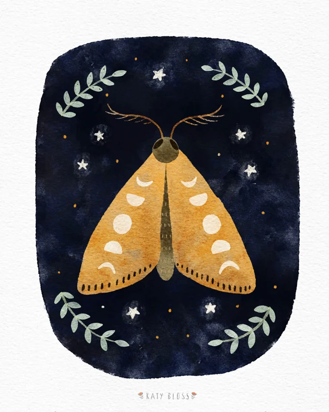 Moon Moth — Illustrations by Kate Turnbull