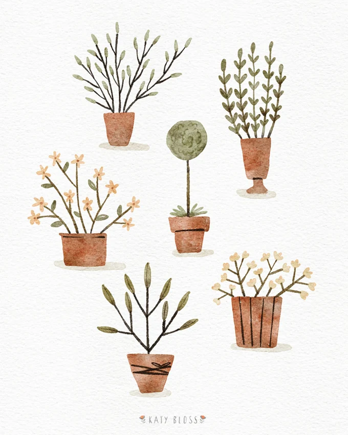 Pot Plants — Illustrations by Kate Turnbull
