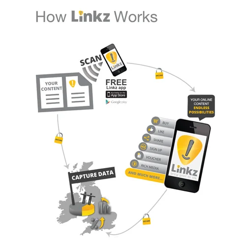 Linkz Infographic — Print Marketing Materials by Kate Turnbull